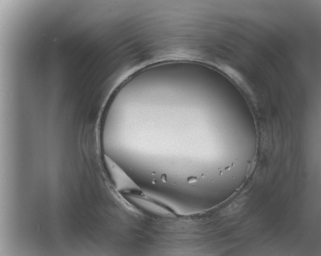 X0000064041238200602031549