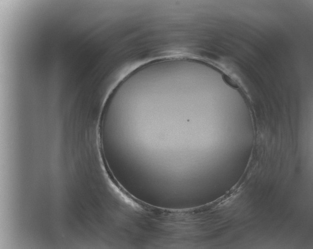 X0000064041239200602031549