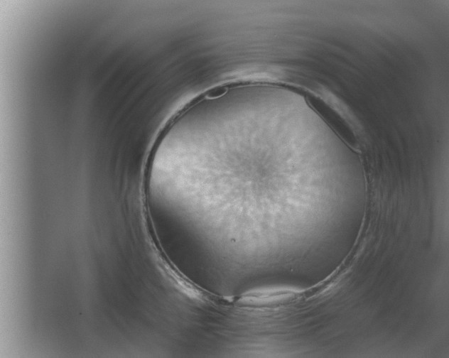 X0000064041240200602031549