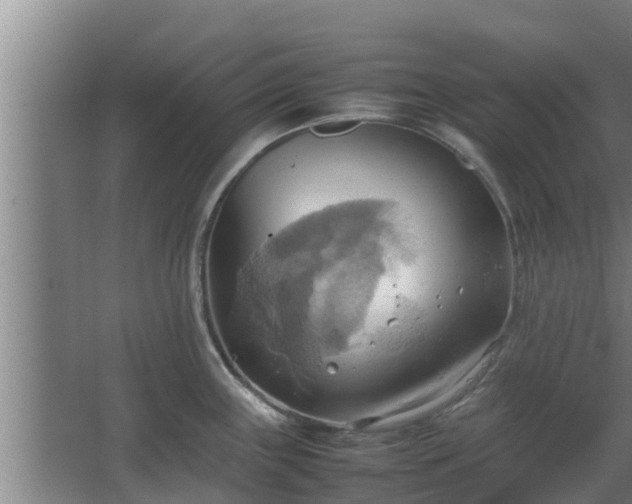 X0000064041243200602031549