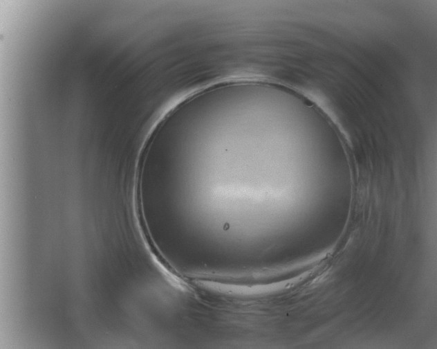 X0000064041245200602031549