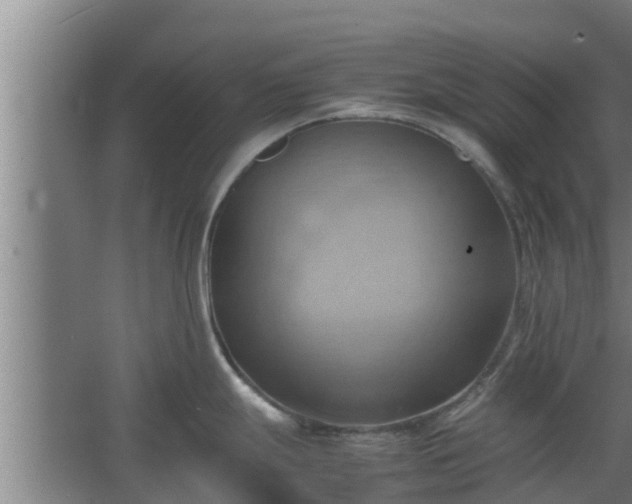 X0000064041247200602031549