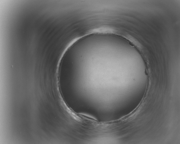 X0000064041248200602031549