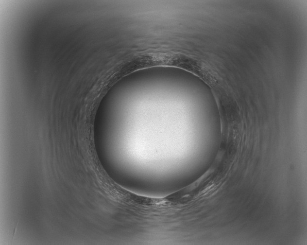 X0000064041249200602031548