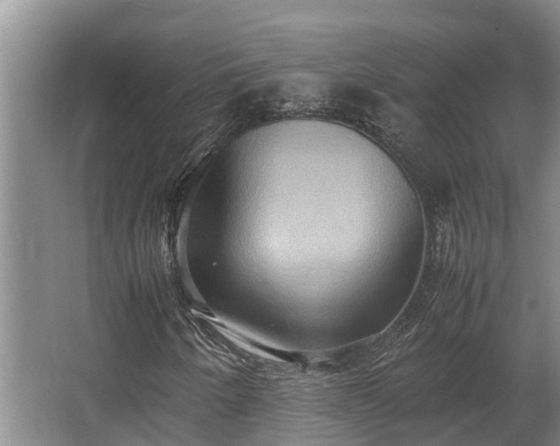 X0000064041250200602031548