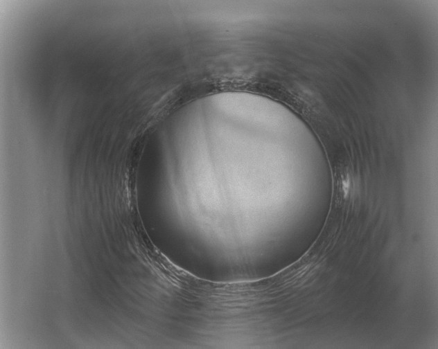 X0000064041252200602031548