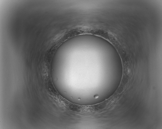 X0000064041253200602031548