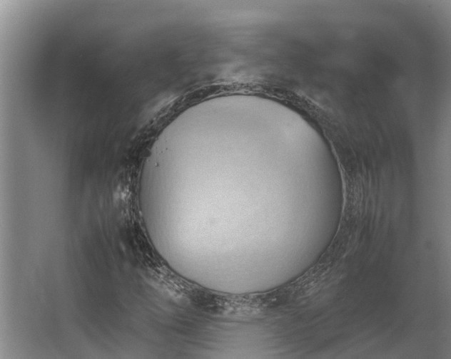 X0000064041254200602031548