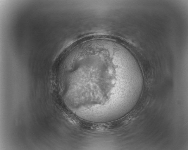 X0000064041255200602031548