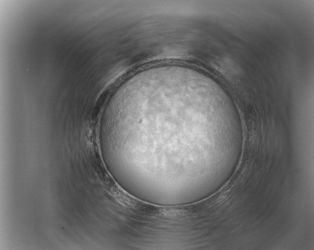 X0000064041258200602031548