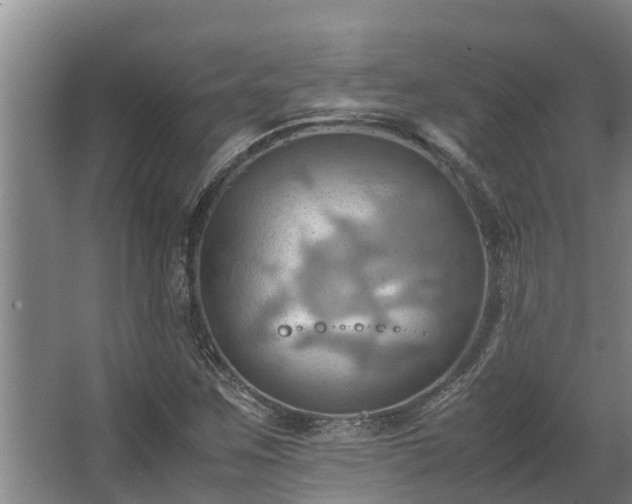 X0000064041259200602031548