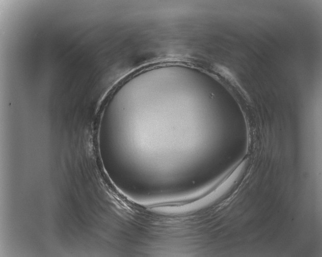 X0000064041260200602031548