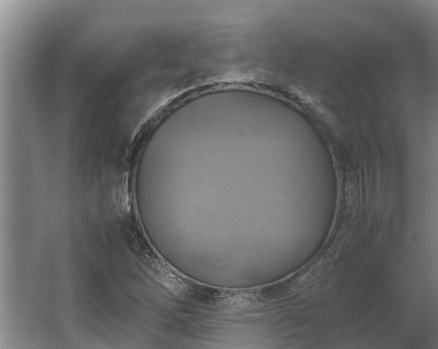 X0000064041262200602031548