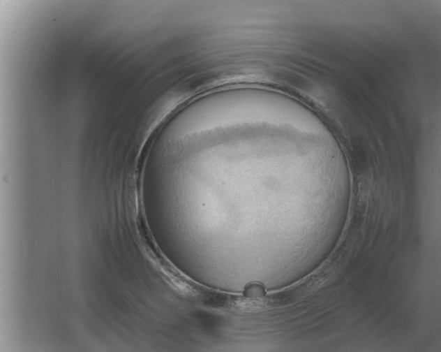 X0000064041274200602031548