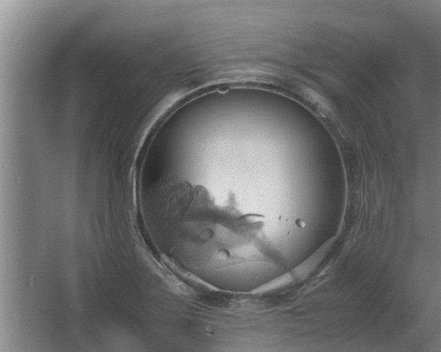 X0000064041275200602031548