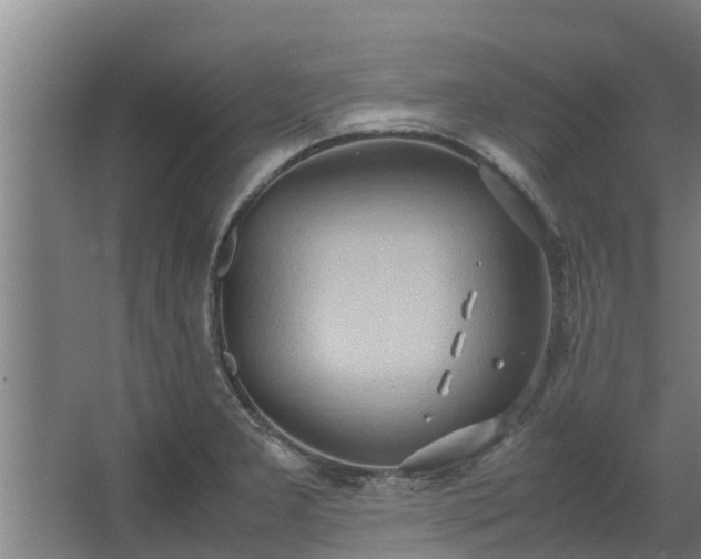 X0000064041277200602031548