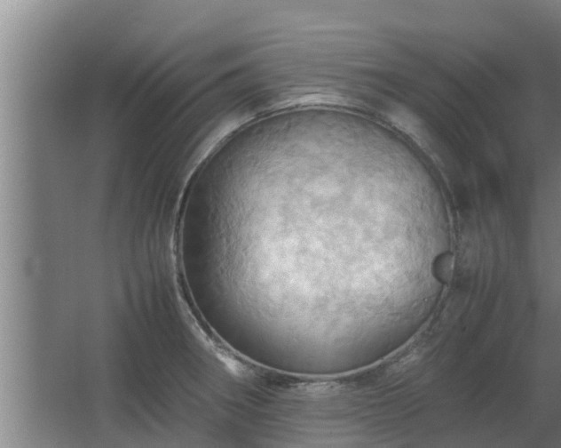 X0000064041282200602031548