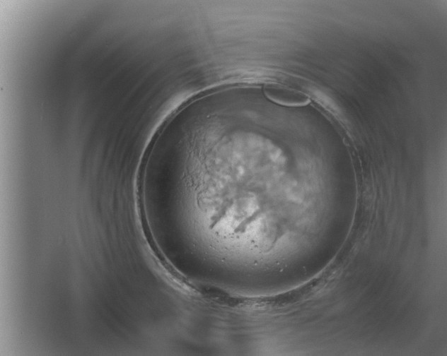 X0000064041283200602031548