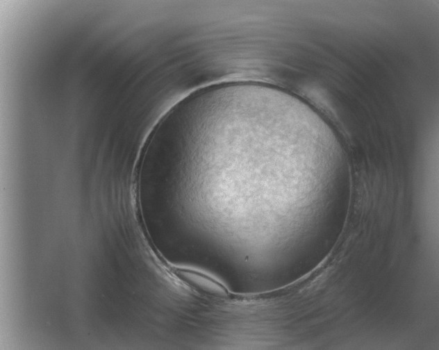 X0000064041284200602031548