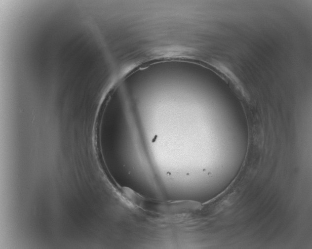 X0000064041285200602031548