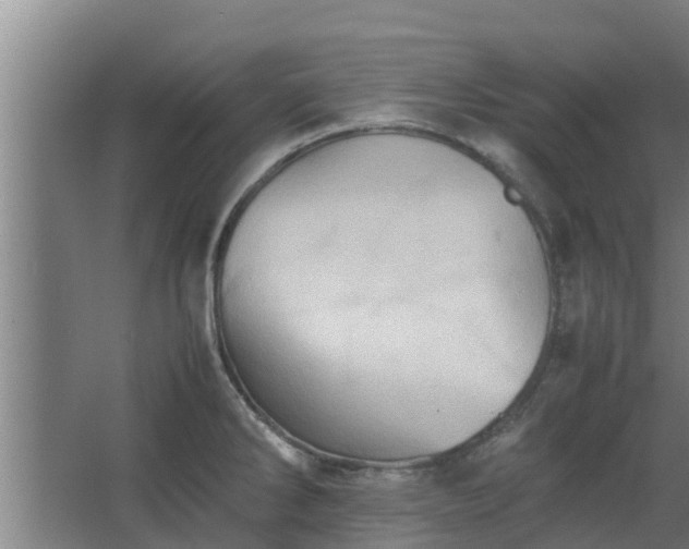 X0000064041286200602031548