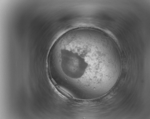 X0000064041287200602031548