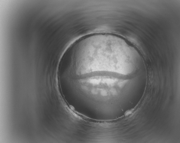 X0000064041288200602031548