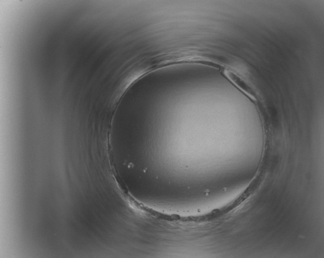 X0000064041289200602031548