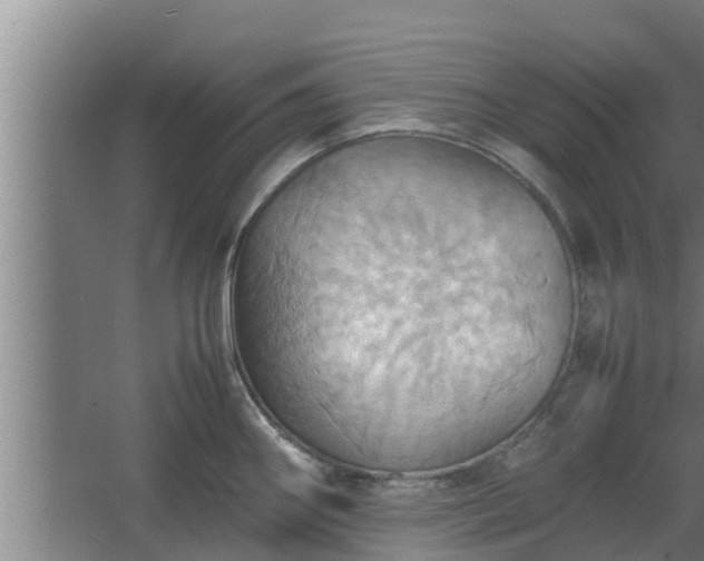 X0000064041290200602031548