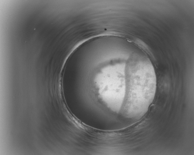 X0000064041292200602031548