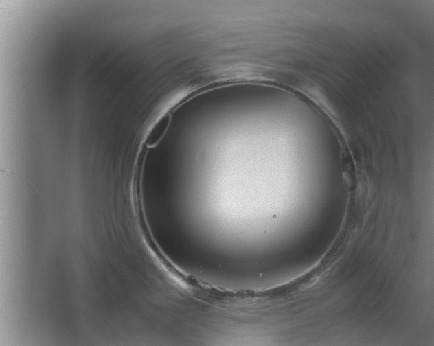 X0000064041293200602031548