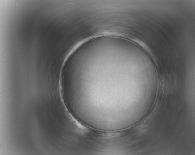 X0000064041294200602031548