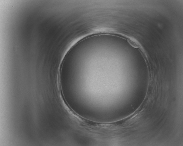 X0000064041295200602031548