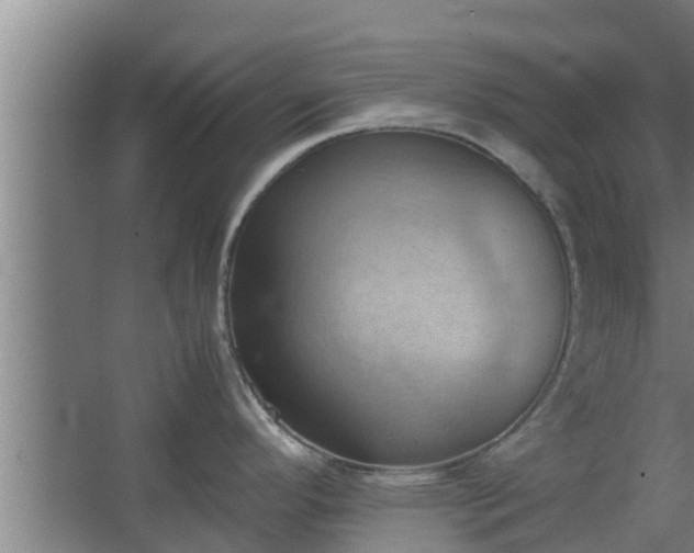 X0000064041296200602031548