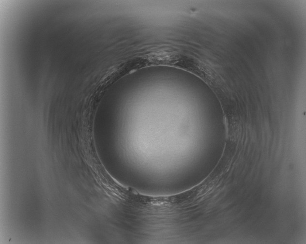 X0000064041297200602031547