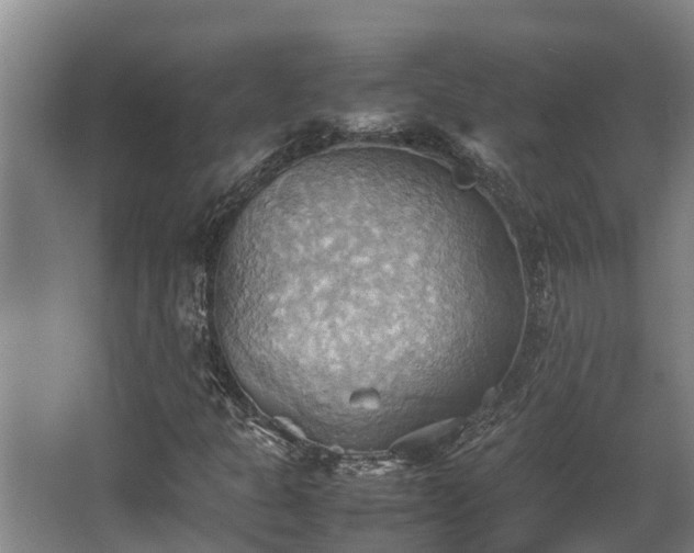 X0000064041301200602031547