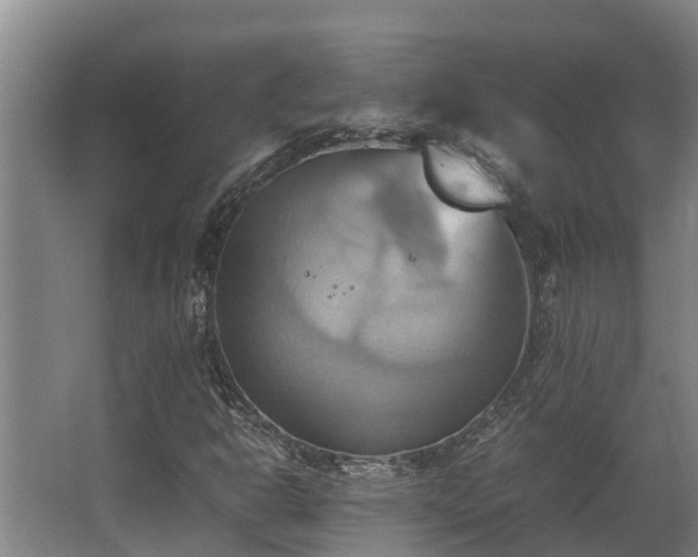 X0000064041302200602031547