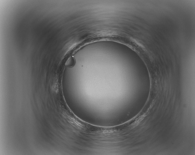 X0000064041306200602031547