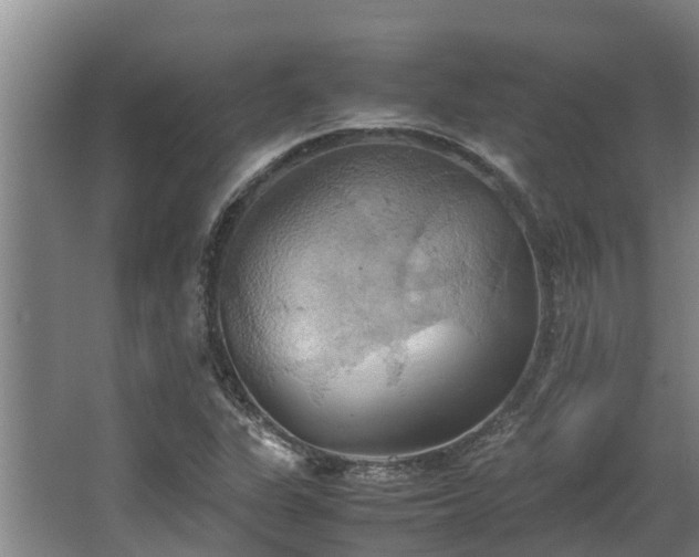 X0000064041311200602031547