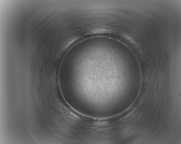 X0000064041313200602031547