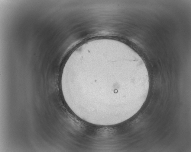 X0000064041314200602031547