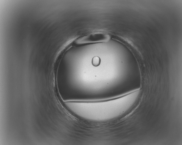 X0000064041317200602031547