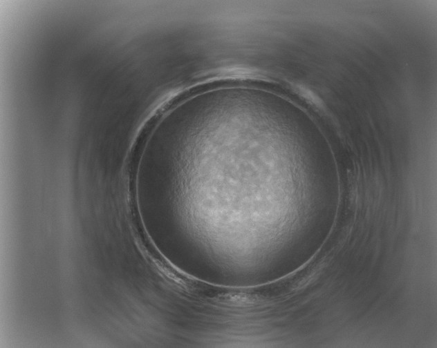 X0000064041318200602031547