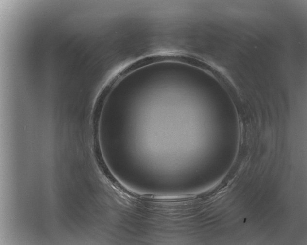 X0000064041319200602031547