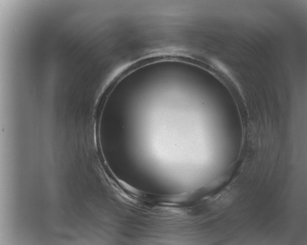 X0000064041320200602031547