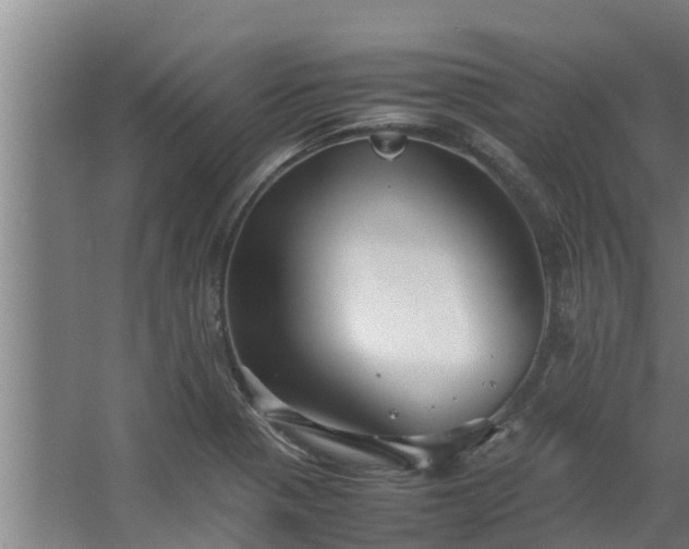 X0000064041321200602031547