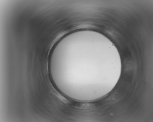 X0000064041322200602031547