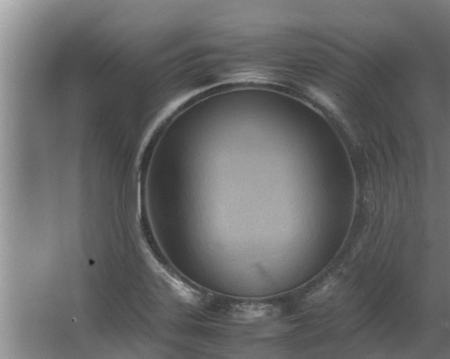 X0000064041323200602031547