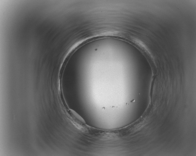 X0000064041324200602031547