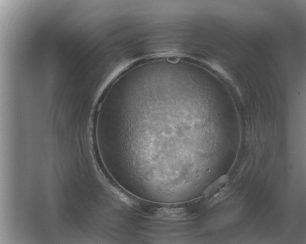 X0000064041325200602031547